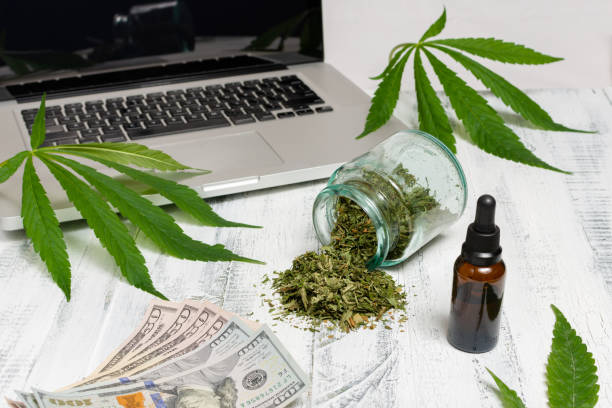 Best Platform To Order Legal Cannabis Online In Washington DC